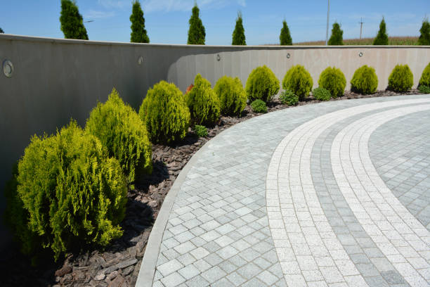Reasons to Select Us for Your Driveway Paving Requirements in Doylestown, OH
